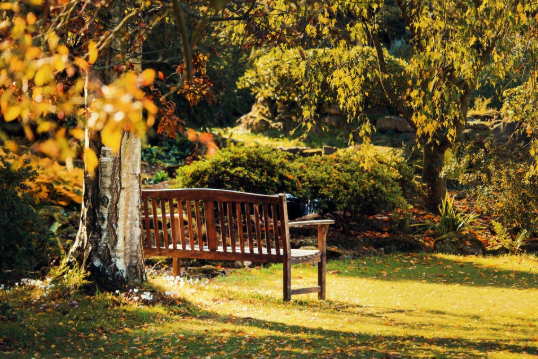 Tips for Designing Your Home Gardens