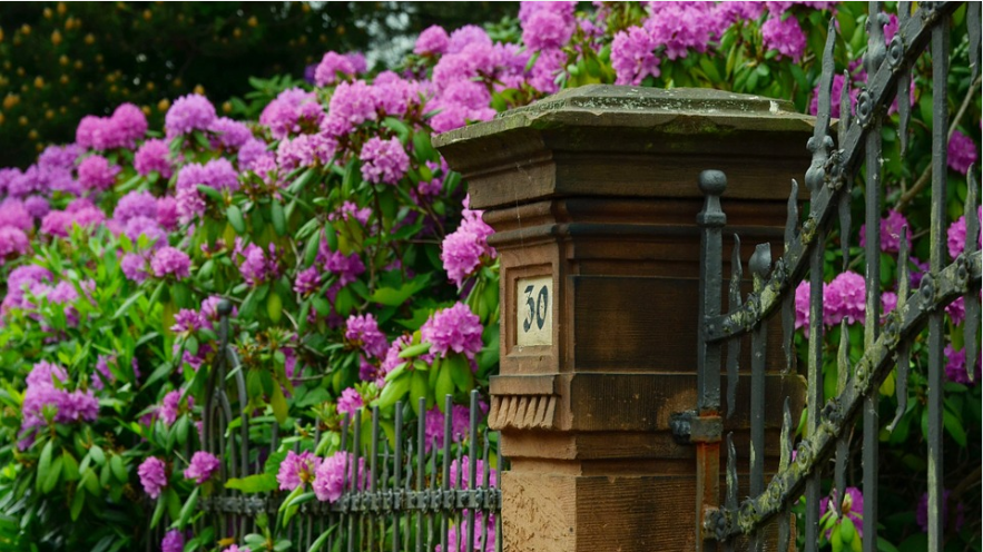 How To Improve Garden To Increase Property Value?