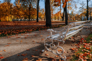 park bench