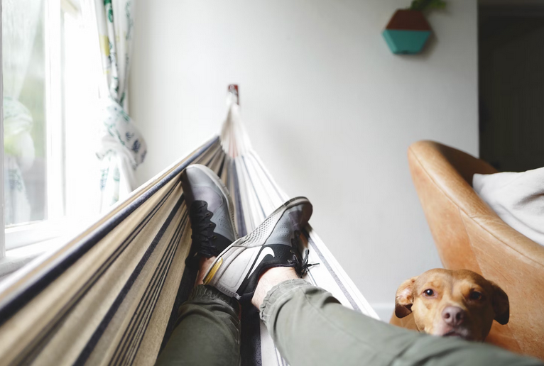 hammock
