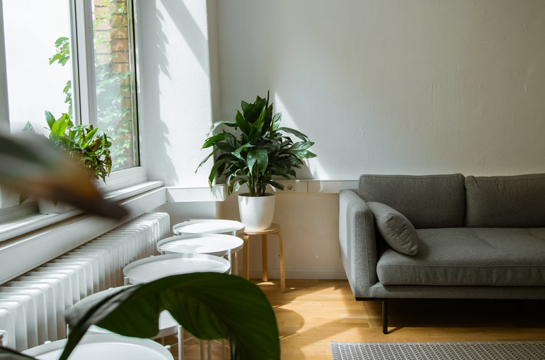 Designers’ Furniture Picks to Create a Cozy Sunroom Retreat