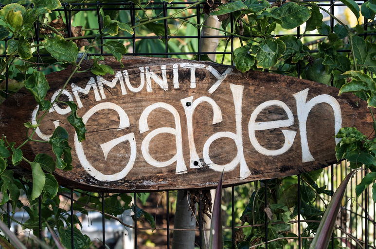 Community Gardens and Sustainable Neighborhoods: Green Initiatives in Real Estate